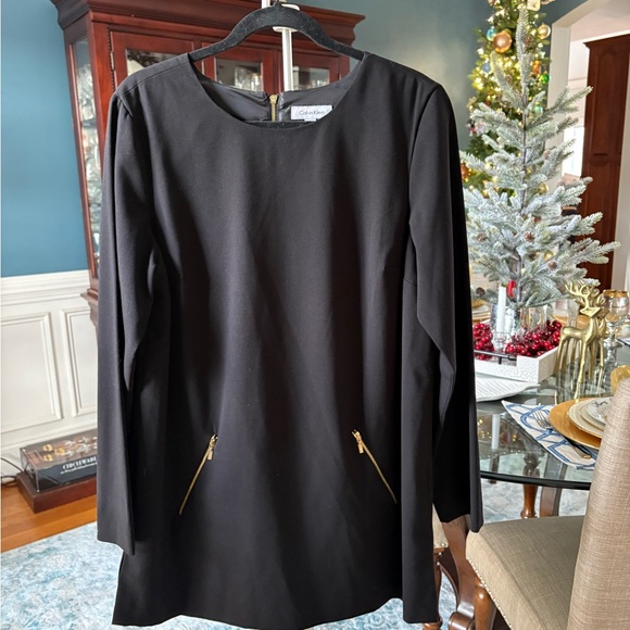 Calvin Klein Black Dress with Gold Zipper Accents - Picture 7 of 7